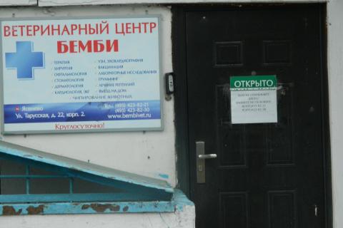 Предлагаю услуги. Ветеринарная клиника в Ясенево.. Фото3