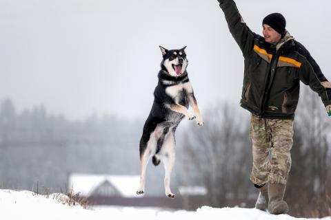 В дар собаку. Летающий и улыбающийся пёс Макс в добрые руки. Фото3