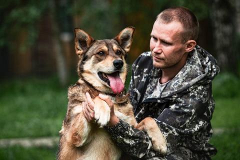 В дар собаку. Спокойный и дружелюбный пес Филя ищет дом!. Фото4