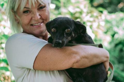 В дар собаку. Маленькая собачка Доли, вес 8 кг, ищет дом!. Фото1