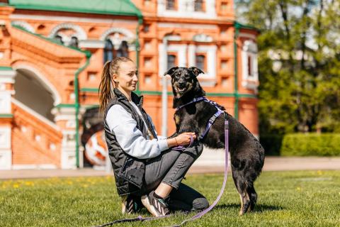 В дар собаку. Герда - олицетворение уюта, большой любви и верности!. Фото3