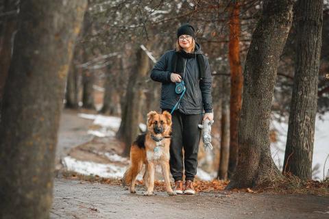 В дар собаку. Малыш ищет семью. Фото2