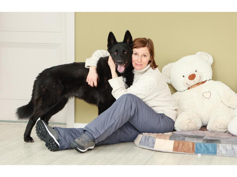 В дар собаку