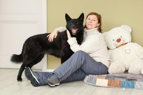 В дар собаку. Мечтаете о черной овчарке?. Фото2