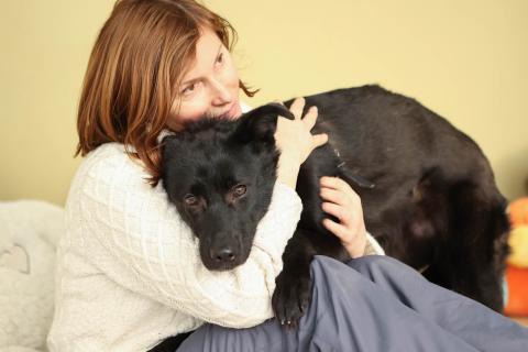 В дар собаку. Черный щенок Асти в дар. Фото3