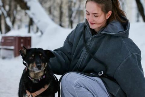 В дар собаку. Вива – не помнящая зла  . Фото4