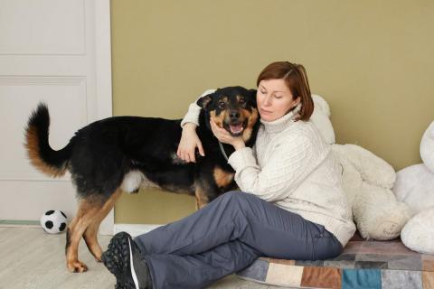 В дар собаку. Общительный и ласковый пёс Баграй в добрые руки. Фото1