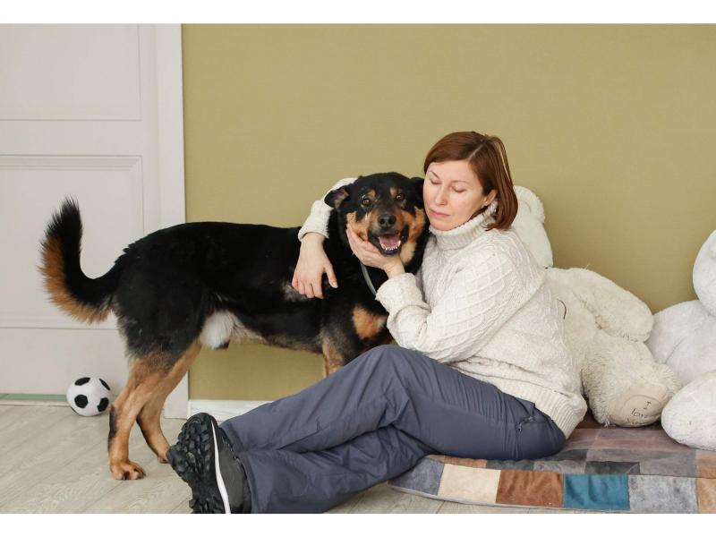 В дар собаку