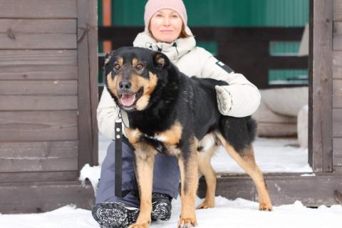 В дар собаку. Общительный и ласковый пёс Баграй в добрые руки. Фото3