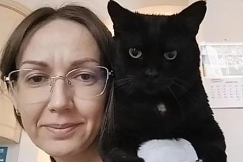 В дар кошку. Крупный черный кот Тимофей ищет дом. Фото3