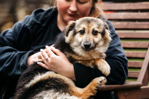 В дар собаку. Гэлакси, девочка, в чьих глазах целая вселенная. Фото4